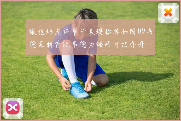张佳玮点评华子表现称其如同09韦德莱利曾比韦德为矮两寸的乔丹