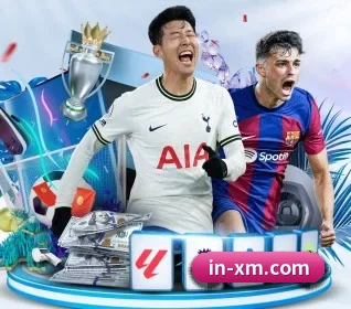 五大服务分区,信息按项目分类 | PandaSports